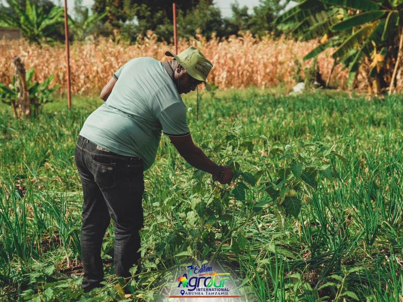 Photographie 9 de Jour 5 : Agrotour International 2024