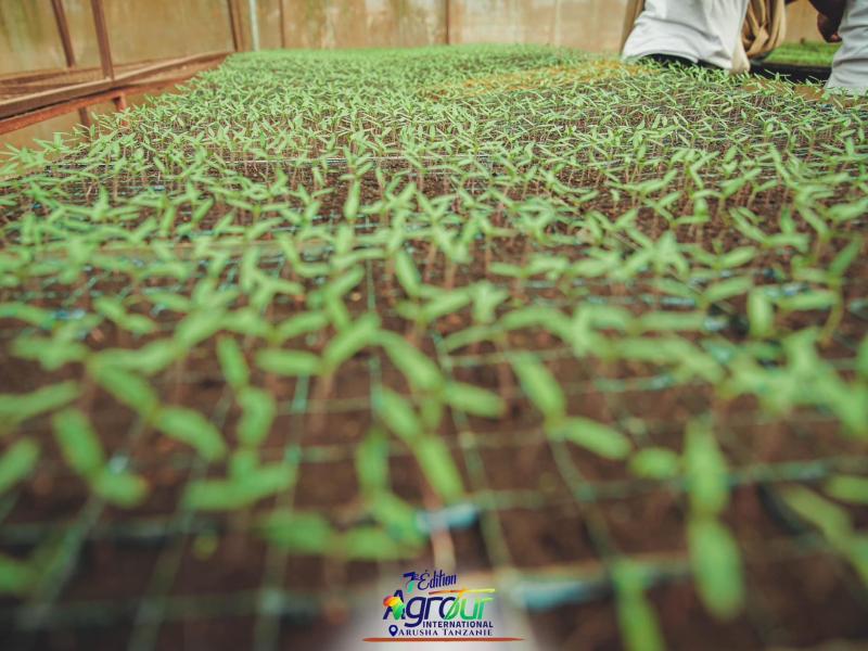 Photographie 40 de Jour 5 : Agrotour International 2024