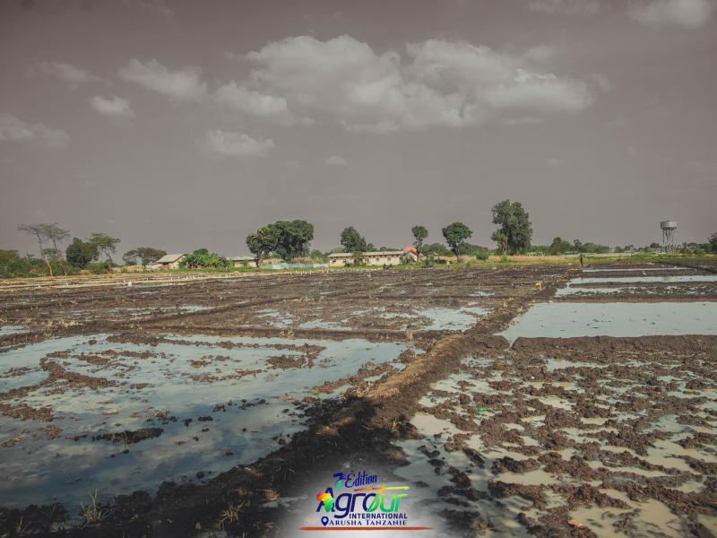 Photographie 45 de Jour 5 : Agrotour International 2024