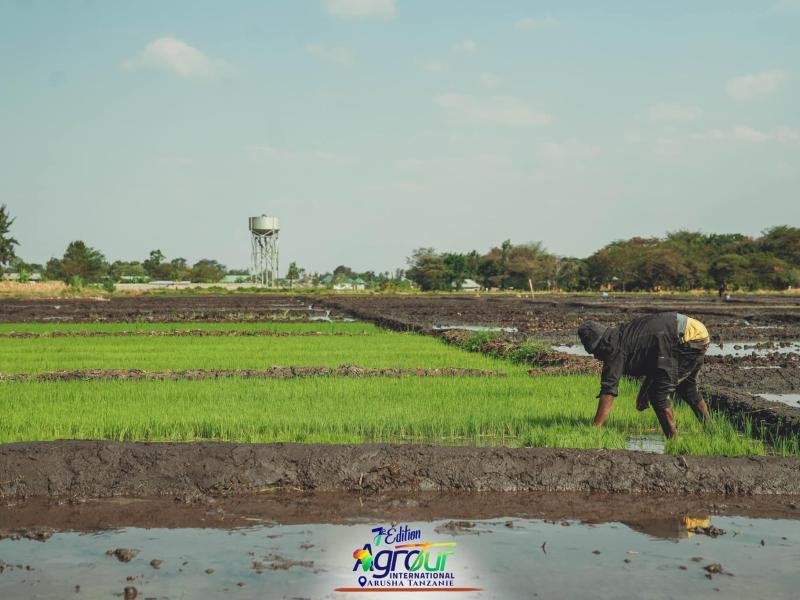 Photographie 46 de Jour 5 : Agrotour International 2024