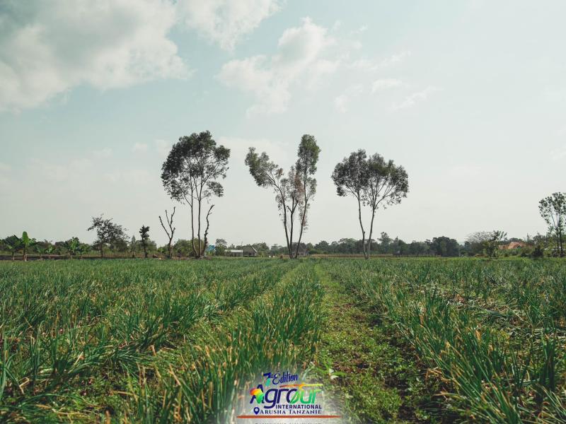 Photographie 47 de Jour 5 : Agrotour International 2024