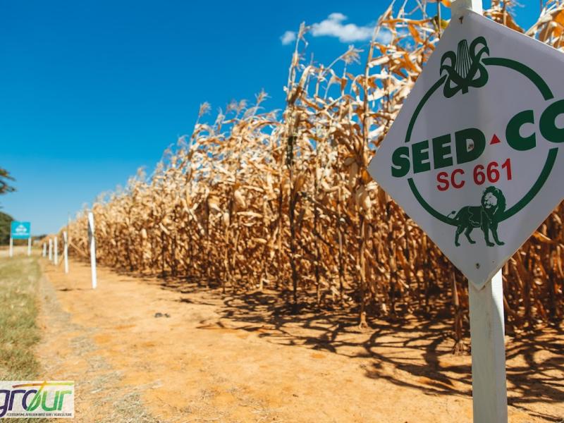 Photographie 1 de RÉUSSIT SA 6ÈME ÉDITION DU PROGRAMME AGROTOUR INTERNATIONAL RDC-ZAMBIE 2023 !